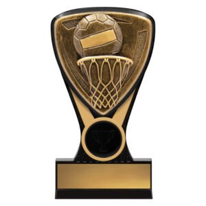 Black and bronze netball shield trophy with hoop and ball design and blank gold engraving plate
