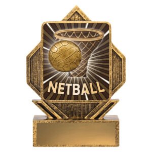 Bronze netball hoop and ball plaque trophy with sunburst background and blank gold engraving plate