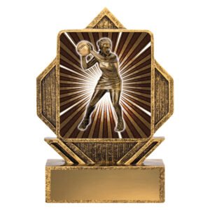 Bronze netball player plaque trophy with sunburst background and blank gold engraving plate
