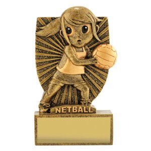 cute netball girl resin trophy.jpeg Resin netball girl trophy with ball detail and blank gold engraving plate on base