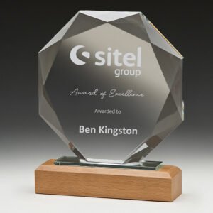 Faceted clear glass corporate awards trophy with engraved award text mounted on natural timber base