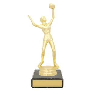Gold female volleyball player trophy figure serving ball on black base with engraving plate