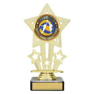 Gold netball star trophy with circular netball emblem and black base with blank engraving plate