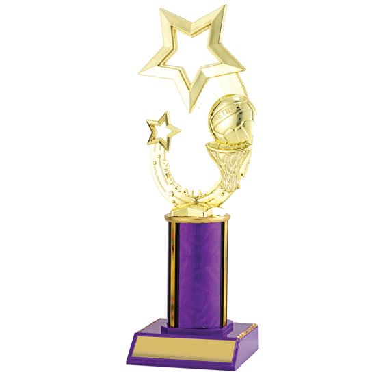 Large gold netball star trophy with ball and hoop detail, purple column centre and engraving plate on solid base