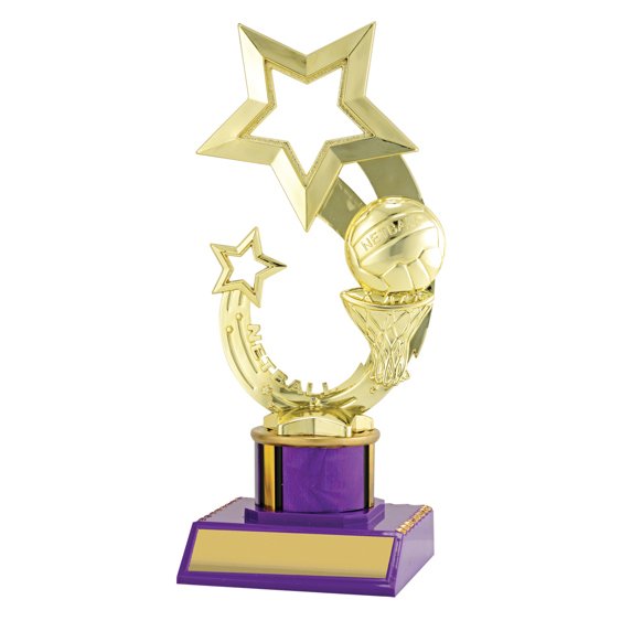 Small gold netball star trophy with ball and hoop detail, purple column centre and engraving plate on solid base