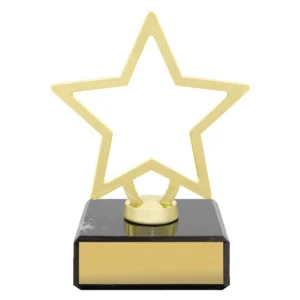 Gold outline star award on black marble base with engraved name plate