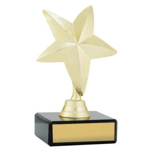 Large gold solid star trophy on black marble base with engraved name plate
