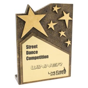 Gold star award plaque with raised star shapes and winner engraving panel on front
