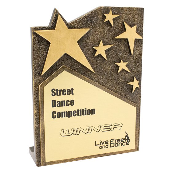 Gold star award plaque with raised star shapes and winner engraving panel on front