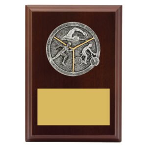 Peak Plaque Triathlon Award