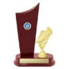 Medium mahogany finish trophy with tall curved panel and gold soccer boot figure on round base, complete with custom engraving plate.