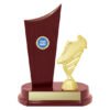 Small mahogany finish trophy with tall curved panel and gold soccer boot figure on round base, complete with custom engraving plate.