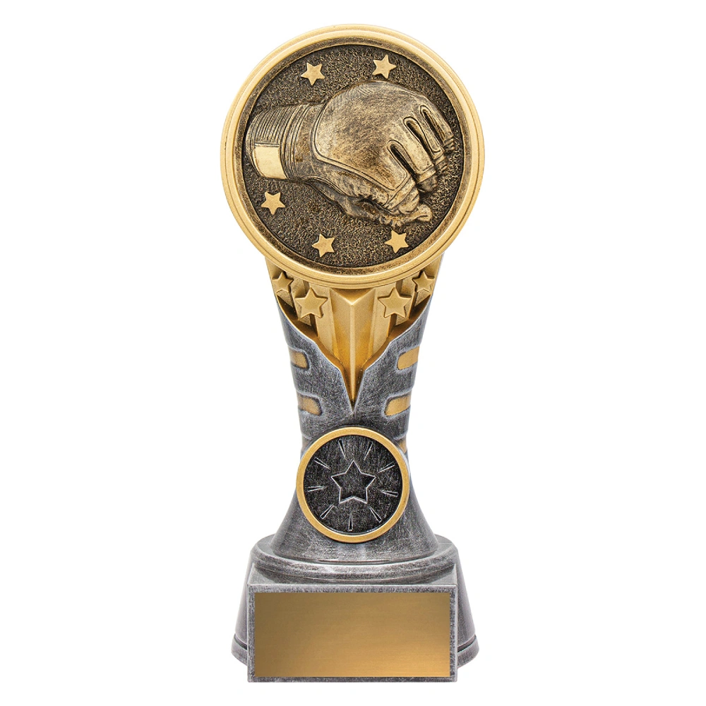 Medium silver and gold wrestling trophy with raised wrestling glove emblem, star details, and gold engraving plate on base.