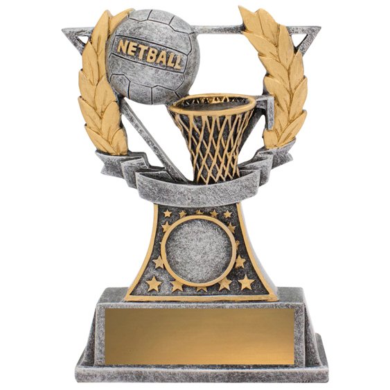 Netball trophy with ball and hoop framed by laurel leaves on base with blank gold engraving plate