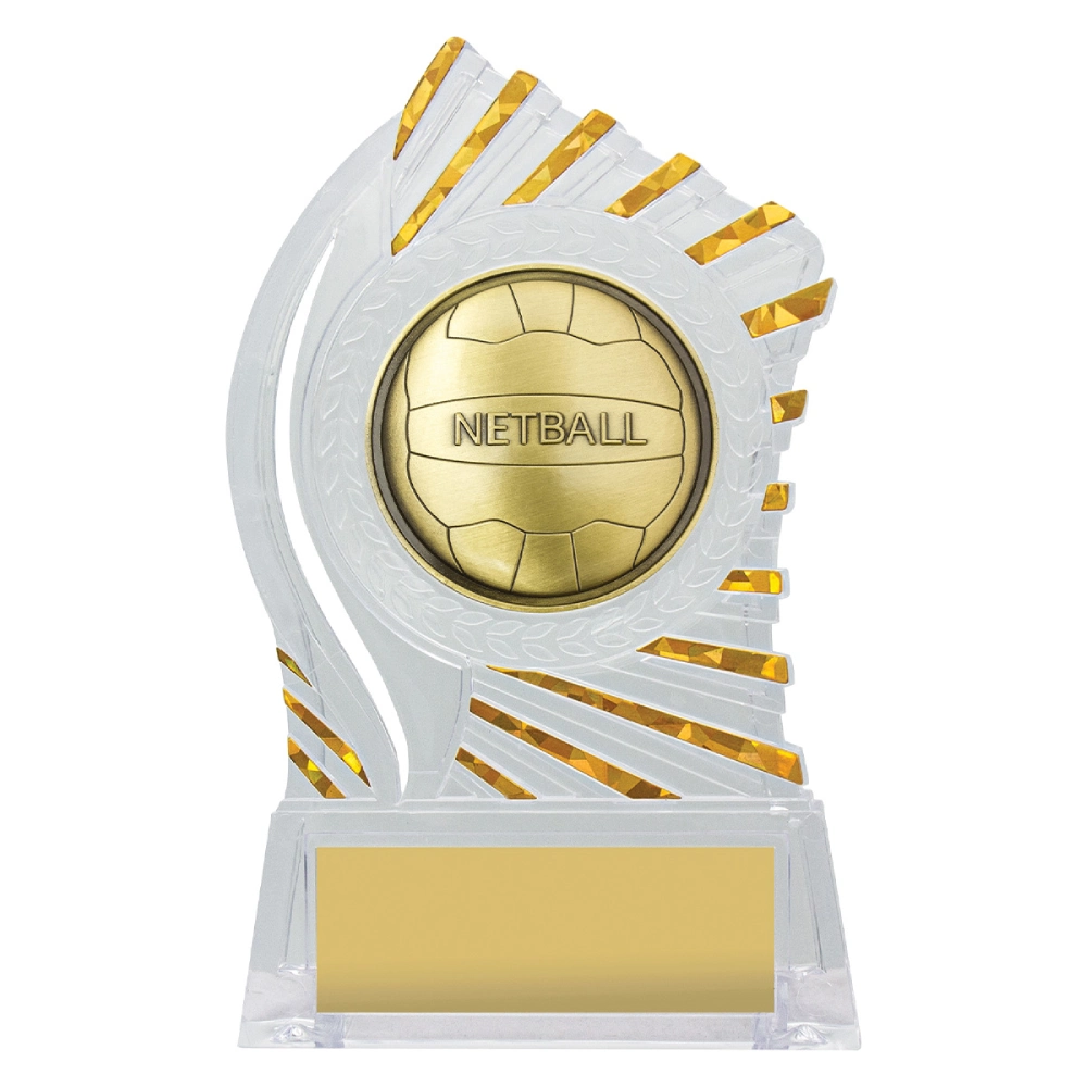 Clear acrylic netball trophy with gold netball insert and sunburst edge detail on base with engraving plate