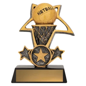 Small netball resin trophy with ball above hoop and star design in antique gold on black base with engraving plate