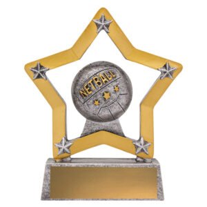 Netball star frame trophy with central ball design and blank gold engraving plate on base