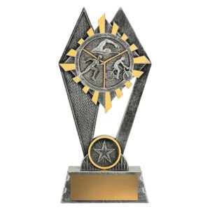 Peak Triathlon Trophy