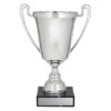 Large polished silver trophy cup with twin handles, traditional stem and black base with engraved plate for custom presentation.
