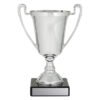 Small polished silver trophy cup with twin handles, traditional stem and black base with engraved plate for custom presentation.