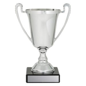 Small polished silver trophy cup with twin handles, traditional stem and black base with engraved plate for custom presentation.