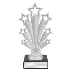 Silver multi star burst trophy on black base with engraved name plate