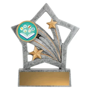 Small silver resin star trophy with education theme insert holder, gold star accents and gold engraving plate on marble base