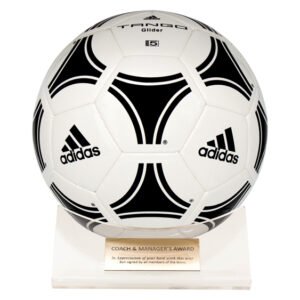 Adidas soccer ball mounted on clear display base with engraved award plaque