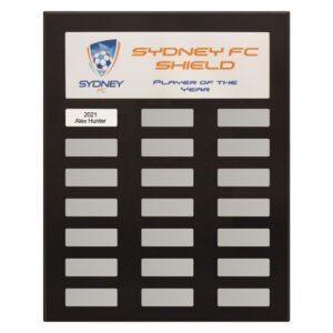 Dark timber perpetual shield plaque with header panel and multiple name plates for annual soccer player of the year winners