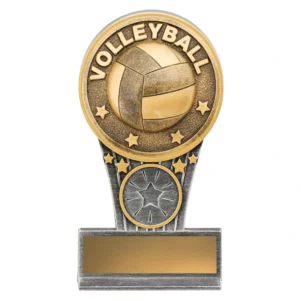 Volleyball trophy with ball emblem and star detail on base with engraving plate