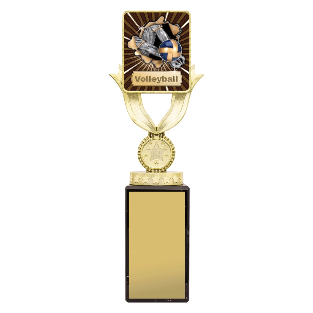 extra large gold volleyball trophy with square centre insert featuring ball and net design on star base with engraving plate
