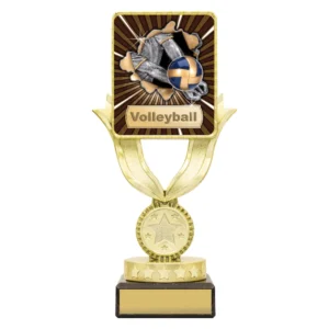 Small gold volleyball trophy with square centre insert featuring ball and net design on star base with engraving plate