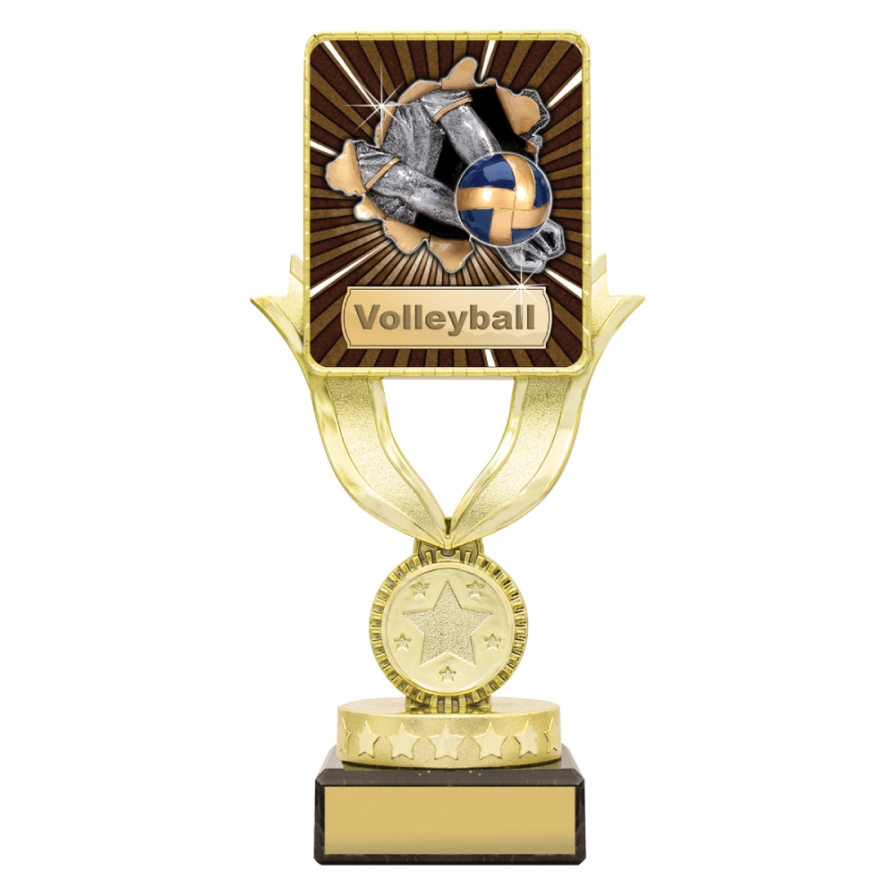 Small gold volleyball trophy with square centre insert featuring ball and net design on star base with engraving plate