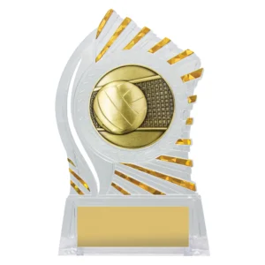 Clear acrylic volleyball trophy with gold volleyball and net insert and sunburst edge detail on base with engraving plate