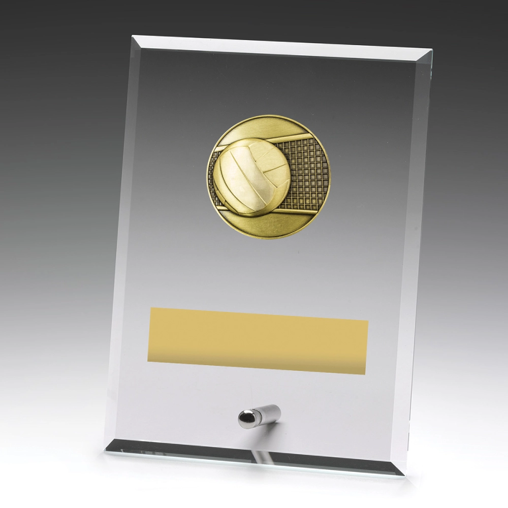 Medium volleyball clear glass award with rectangular panel, ball and net insert, metal pin stand, and engraving plate