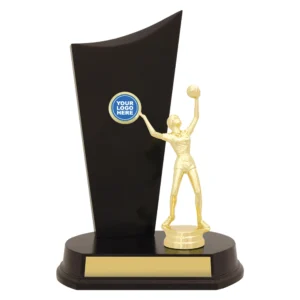 Volleyball female player trophy with gold figure and black panel display on base with engraving plate