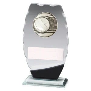 Small volleyball frosted glass award with wavy edge, ball and net design, black base, and engraving plate