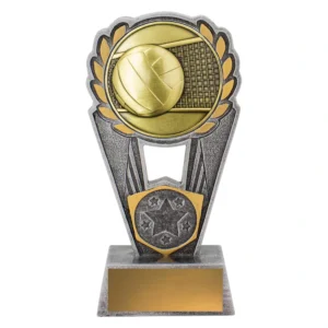 Small volleyball trophy with laurel design, ball and net emblem, and blank engraving plate