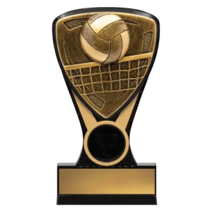Volleyball trophy with ball and net design on black and gold base with engraving plate