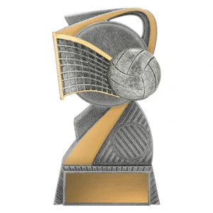 Small volleyball trophy with ball and net design in silver and gold with blank engraving plate