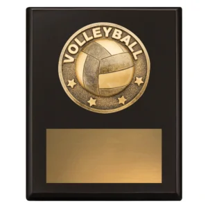 Small volleyball plaque award with raised ball emblem, black board, and gold engraving plate