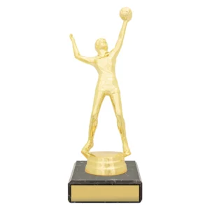 Gold volleyball player trophy figure serving ball on black base with engraving plate