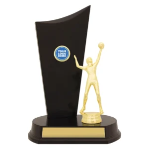 Volleyball player trophy with gold figure and black panel display on base with engraving plate