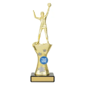 Small gold volleyball player trophy on cup style base with star details and engraving plate
