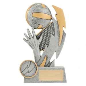 Small volleyball trophy with hands spiking ball and net design in silver and gold with blank engraving plate