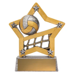 Volleyball star frame trophy with ball and net design on base with engraving plate