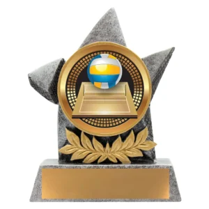 Volleyball star trophy with net and ball centre insert on textured base with engraving plate