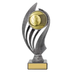 Small volleyball trophy with swirl design and ball over net emblem on base with engraving plate