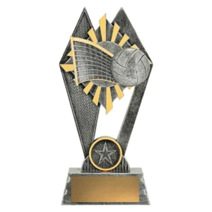 Small silver and gold volleyball trophy with net and ball design on base