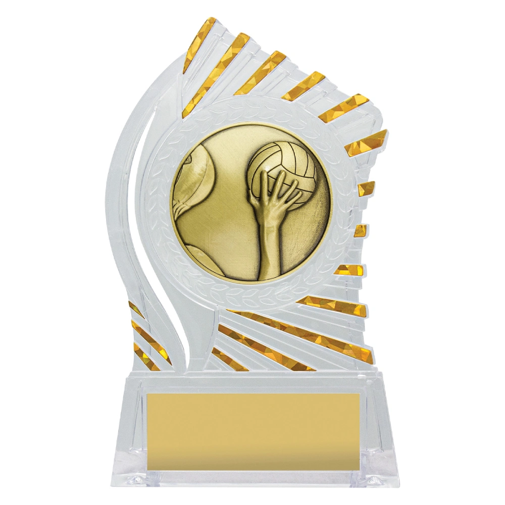 Clear acrylic water polo trophy with gold hand holding ball insert and sunburst edge detail on base with engraving plate